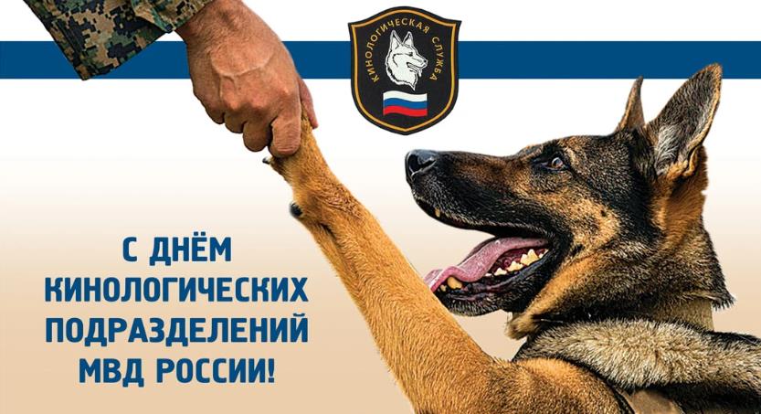 Лучшие картинки ко дню кинолога в России с верной собакой.