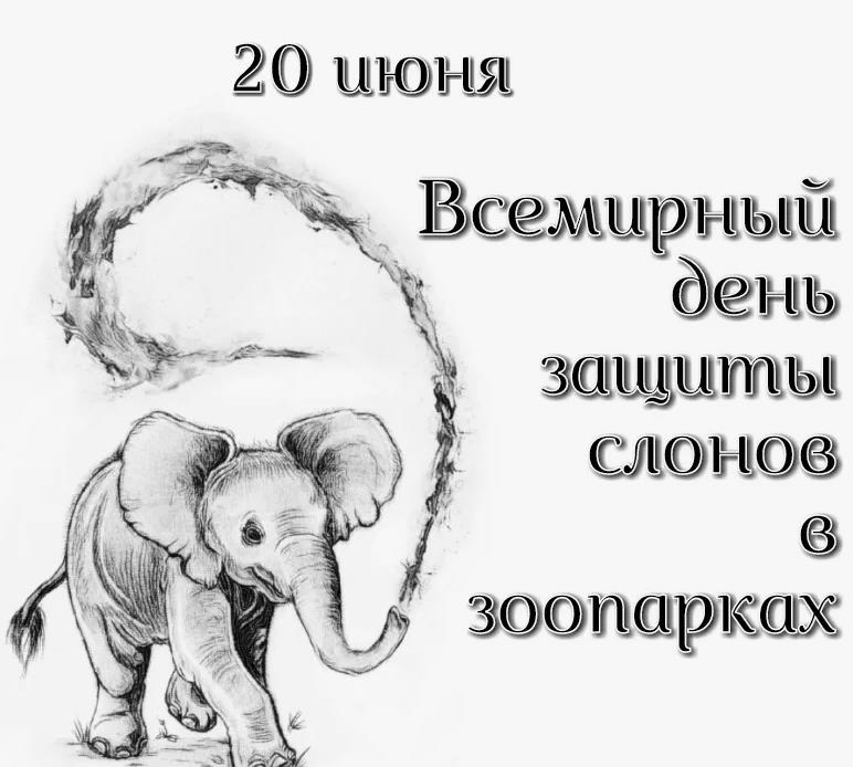 Чёрно белый рисунок к 20 Июня дню защиты хоботатых.