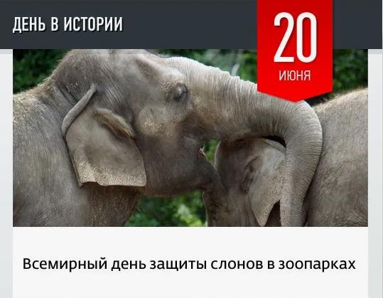 Всемирный день защиты слонов в зоопарках отмечается ежегодно 20 июня.