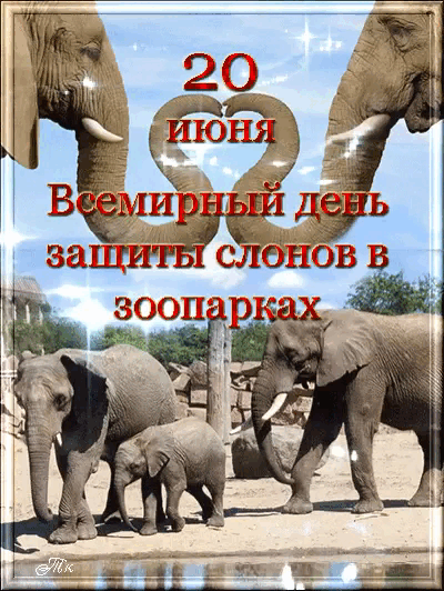 Красивая мерцающая gif картинка 20 Июня всемирный день защиты слонов в зоопарках.