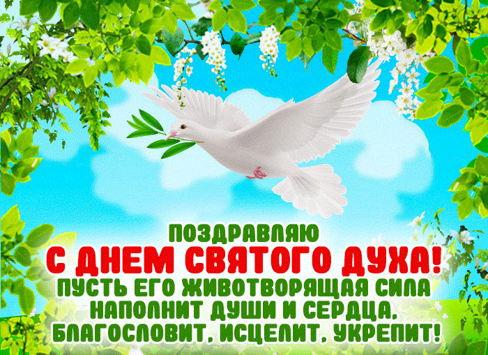 Летние гифки с голубем и надписью "Поздравляю с днём Святого Духа!".