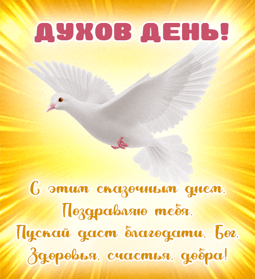 Солнечная гифка с порхающим голубем и поздравлениями в Духов день.