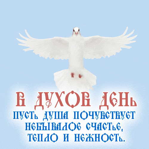 Небесная гиф открытка с голубем в Духов день с пожеланиями.