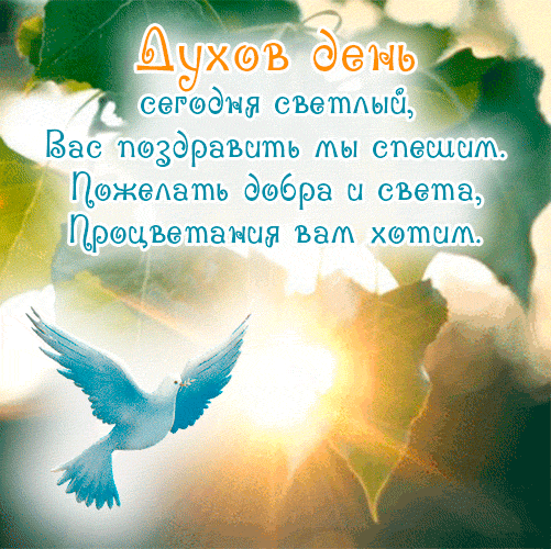 Новые гифки сегодня Духов день с пожеланиями и поздравлениями.