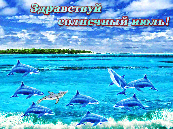 Морская анимация с дельфина и текстом "Здравствуй солнечный Июль!". Морская анимация с дельфина и текстом "Здравствуй солнечный Июль!".