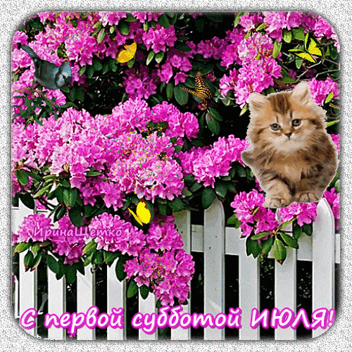Блестящая гиф открытка с котёнком в цветах "С первой субботой Июля!". Блестящая гиф открытка с котёнком в цветах "С первой субботой Июля!".