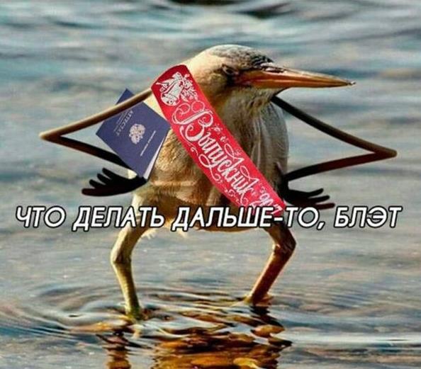 Ржачная картинка с птицей после выпускного. Ржачная картинка с птицей после выпускного.