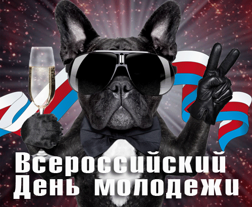 Патриотическая и смешная гиф открытка с собакой на фоне флага РФ "Всероссийский день молодёжи".