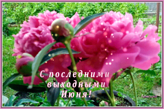 Мерцающая gif картинка с цветами и надписью "С последними выходными Июня!".