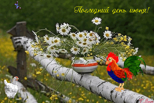 Новые красивые гифки с последним днём Июня - в 2024 году Воскресенье.