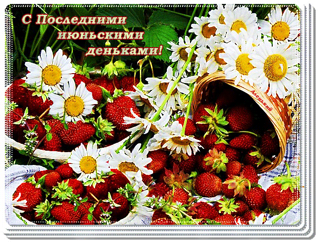 Ягодно - ромашковая гифка с последними Июньскими деньками.