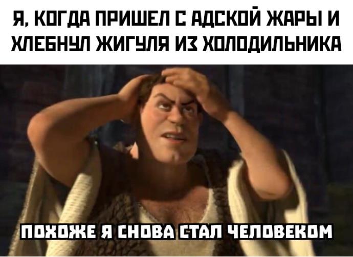 Я, когда пришёл с адской жары и хлебнул жигуля из холодильника. Я, когда пришёл с адской жары и хлебнул жигуля из холодильника.