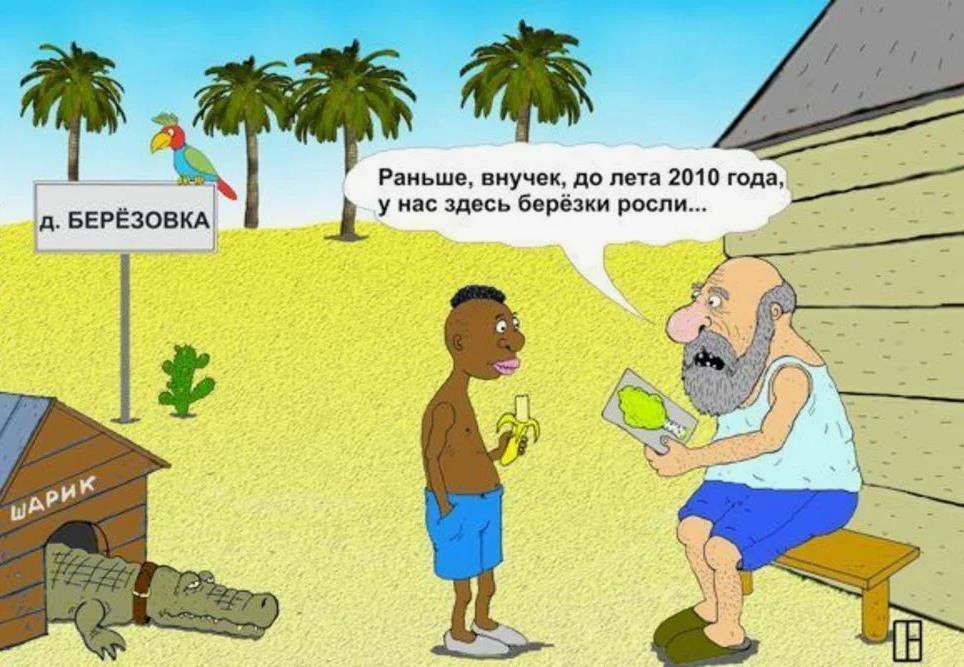 Шутка про смену климата в мире, сейчас в 2024 году в России пустыня, а раньше до 2010 года внучок берёзки росли. Шутка про смену климата в мире, сейчас в 2024 году в России пустыня, а раньше до 2010 года внучок берёзки росли.