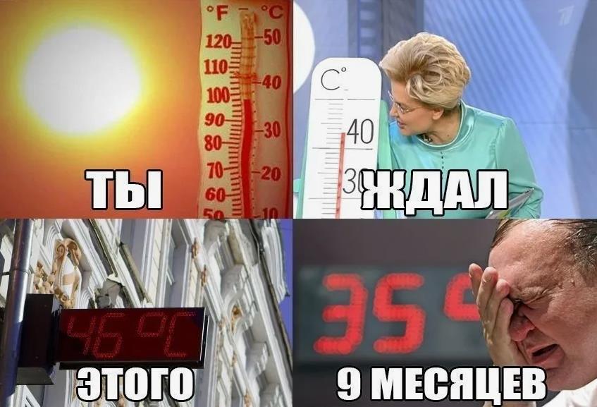 Мем с Еленой Малышевой про жару, которую ты ждал долгих 9 месяцев. Мем с Еленой Малышевой про жару, которую ты ждал долгих 9 месяцев.