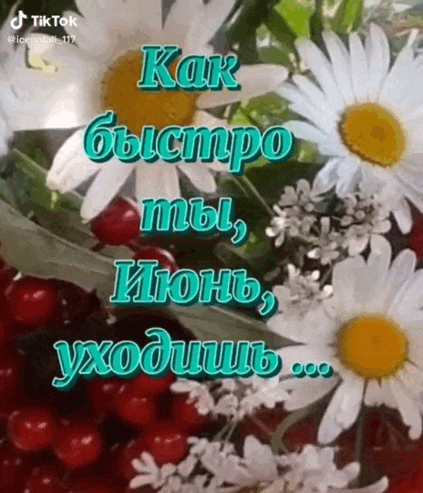 Летняя анимация как быстро ты, Июнь, уходишь. Ещё так мало встречено рассветов.