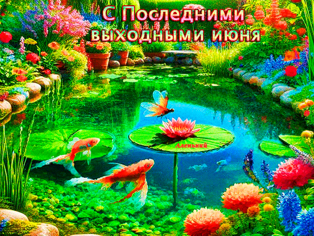 Яркая анимация с рыбками в пруду на последние выходные Июня.