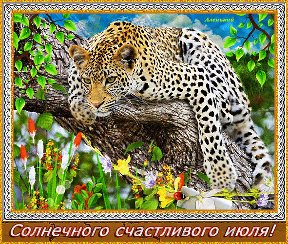 Красивая гифка с леопардом и пожеланием солнечного счастливого Июля. Красивая гифка с леопардом и пожеланием солнечного счастливого Июля.