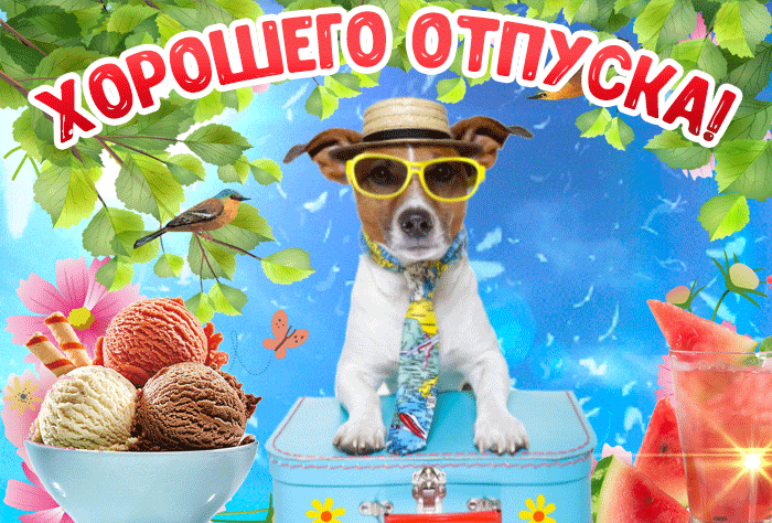 Лучшие летние гифки с Отпуском прикольные с собакой.