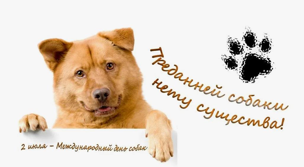 Креативная картинка на международный день собак "Преданней собаки нету существа!".
