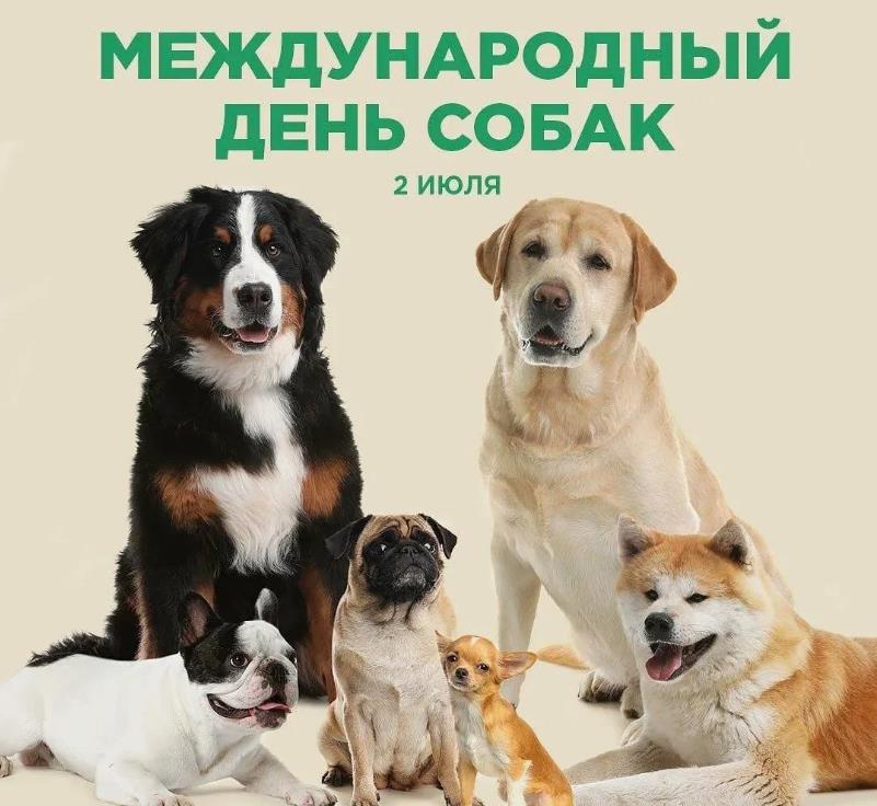 Стильная открытка на международный собачий день.