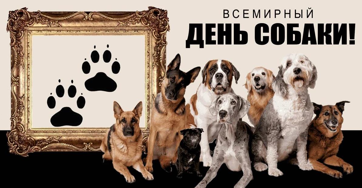 Новые красивые картинки на Всемирный день собаки 2 Июля.