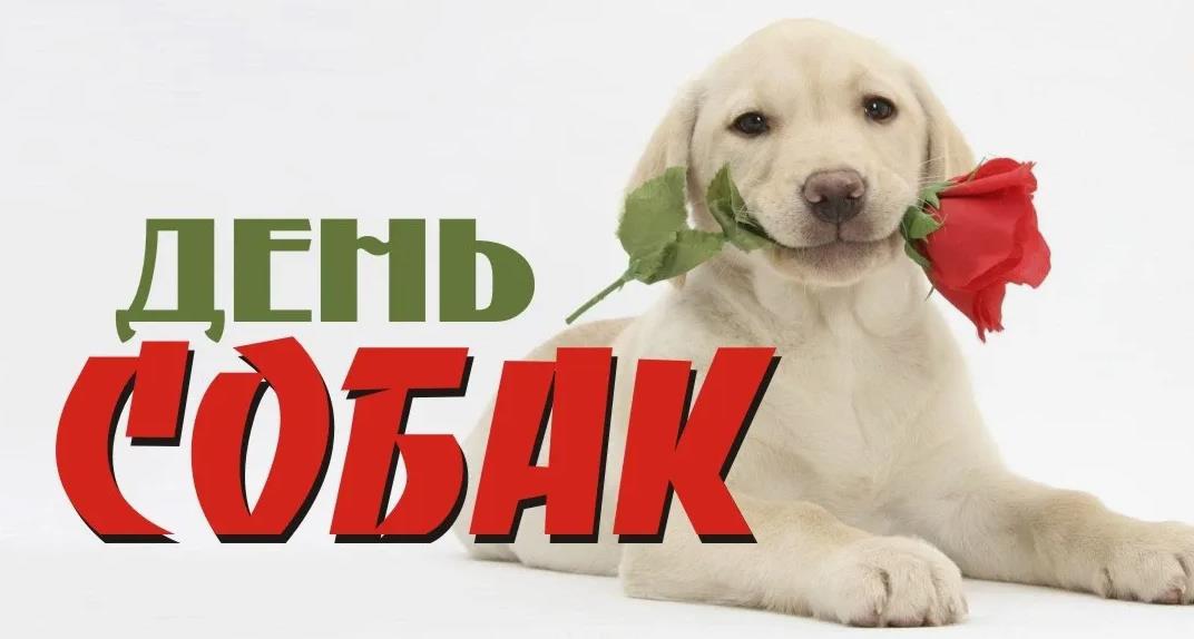 Красивая открытка с лабрадором с розой в зубах на день собак для женщин собаководов.