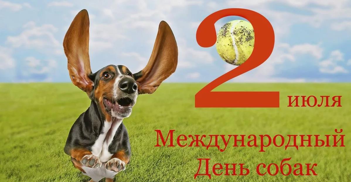 Необычное летнее фото с пушистиком на второе Июля - международный день собак.