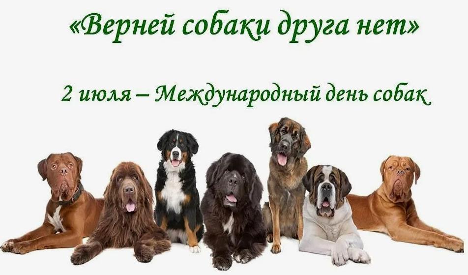 Красивая поздравительная открытка с лозунгом ко дню собак во всём мире.