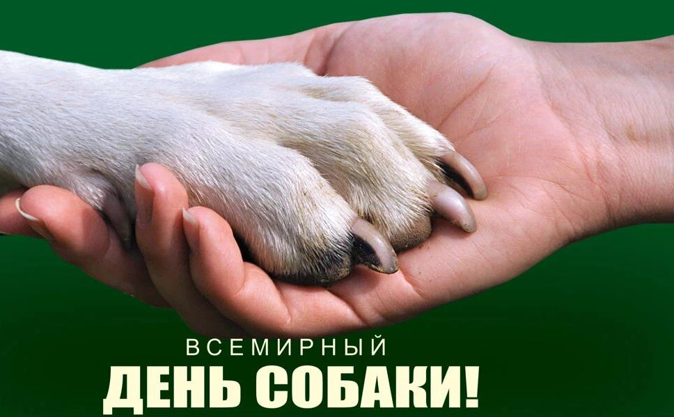 Трогательная открытка с лапой в руке ко всемирному дню собаки.