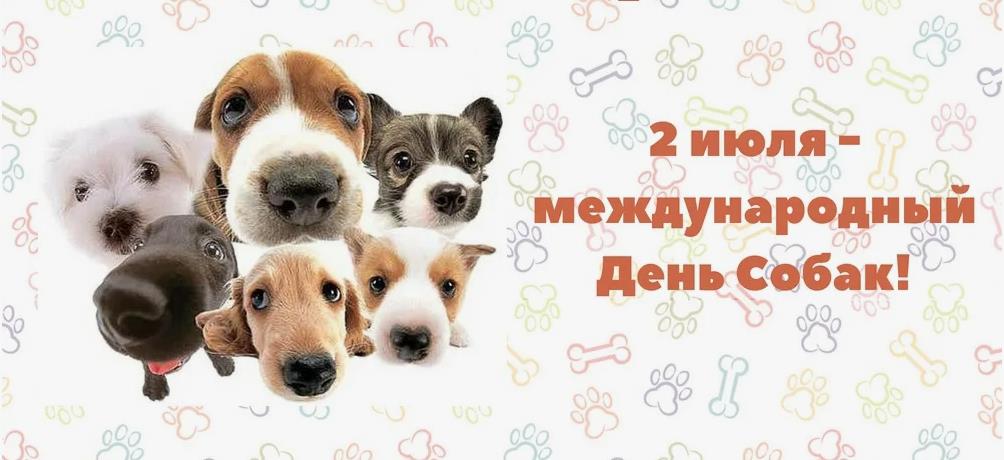 Мимимишная картинка с надписью "2 Июля - международный день собак!".