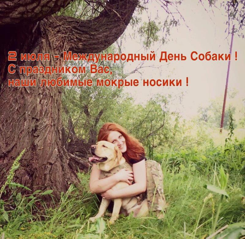 Фото к празднику любимых мокрых носиков или дню собак.