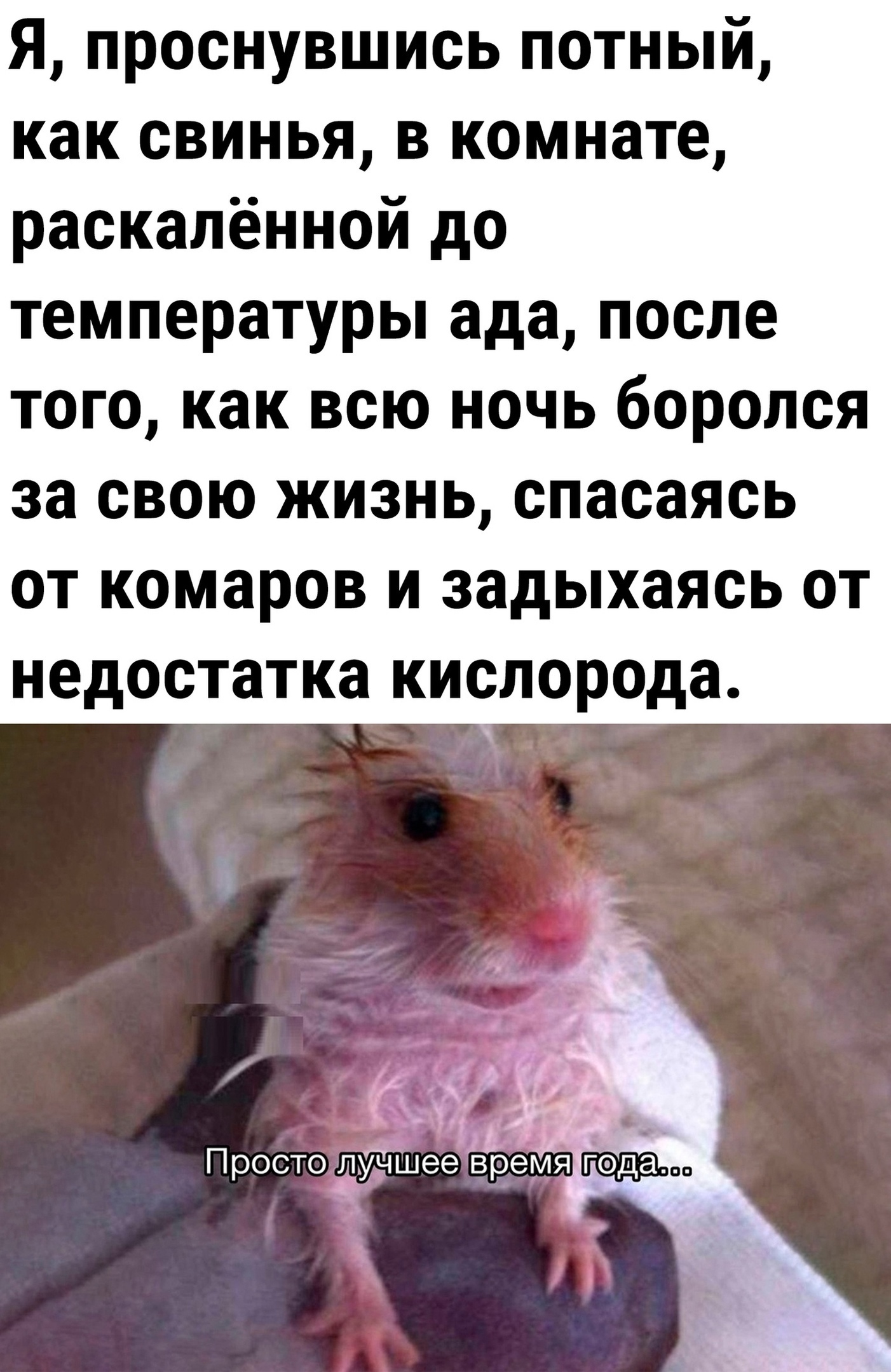 Юморные демотиваторы про потный сон в летние жаркие ночи. Юморные демотиваторы про потный сон в летние жаркие ночи.