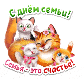 Смешной гиф стикер с котятами для ватсап на день семьи, любви и верности.