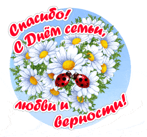Ромашковый гиф стикер (кружок) к празднику 8 Июля.