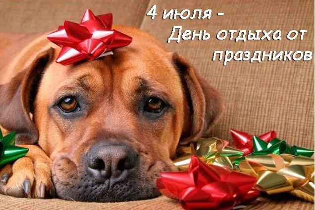Смешная открытка с собакой отдыхающий от праздников. Смешная открытка с собакой отдыхающий от праздников.
