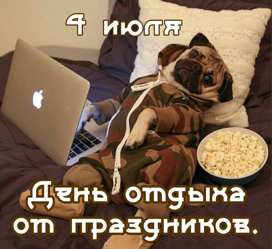 Ещё одно забавное фото с собакой в постели, отдыхающей от праздников. Ещё одно забавное фото с собакой в постели, отдыхающей от праздников.