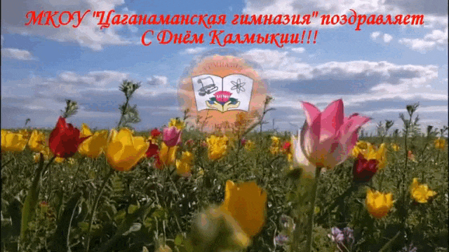 Летняя гиф открытка с тюльпанами на день Калмыкии от гимназистов.