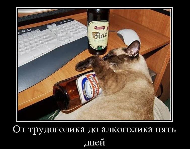 Демотиватор с бухим котом "От трудоголика до алкоголика пять дней". Демотиватор с бухим котом "От трудоголика до алкоголика пять дней".