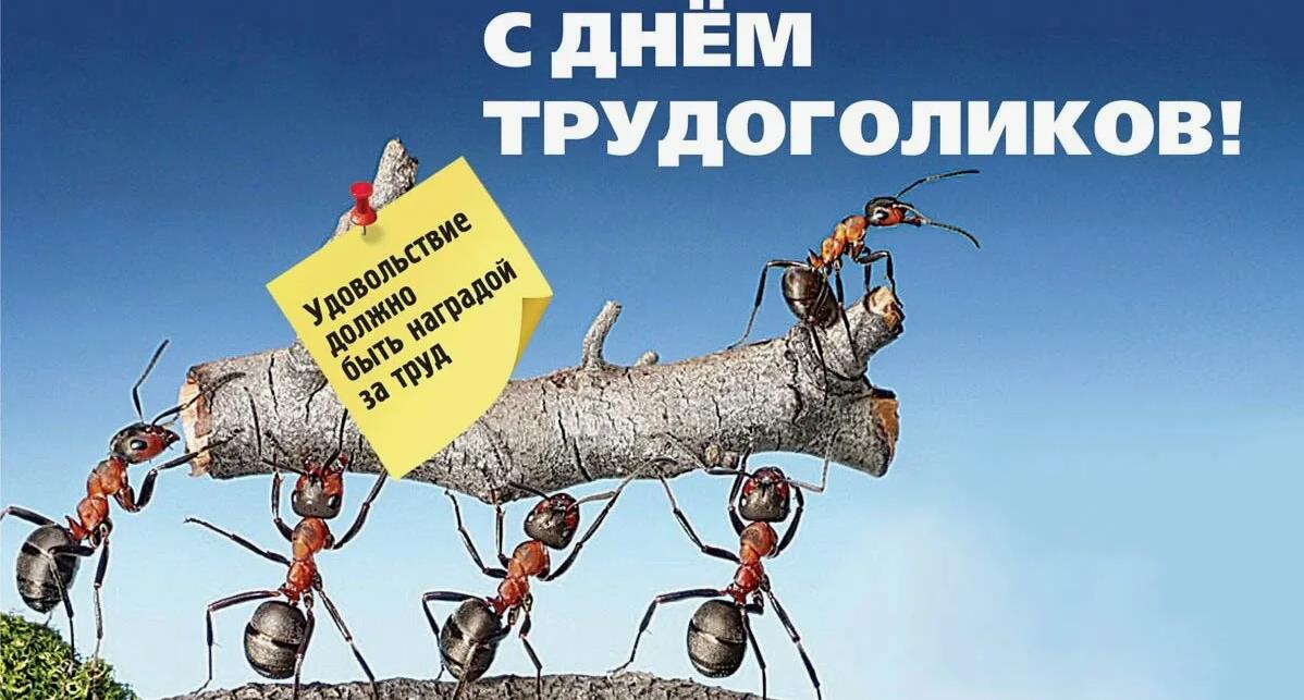 Смешная картинка с муравьями ко дню трудоголиков - удовольствие должно быть наградой за труд. Смешная картинка с муравьями ко дню трудоголиков - удовольствие должно быть наградой за труд.