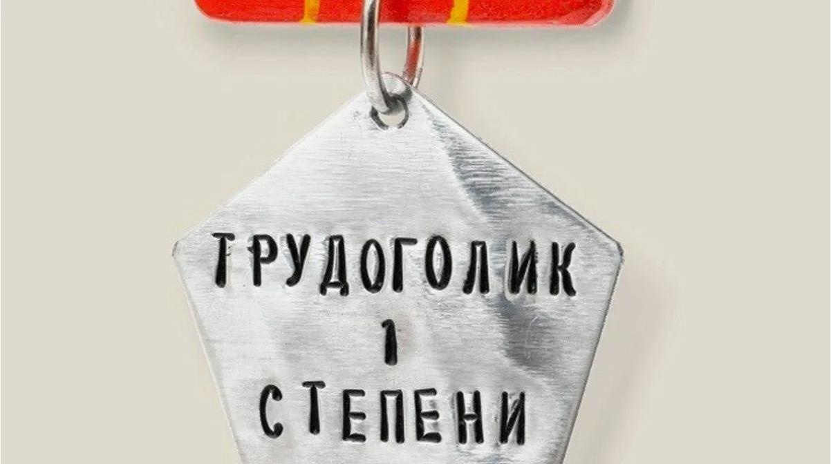 Значок - трудоголик 1 степени. Значок - трудоголик 1 степени.