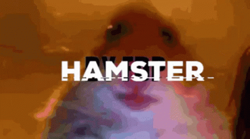 Мигающий гиф с Хомяком и надписью "Hamster".