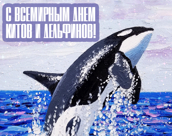 Новые блестящие гиф открытки с международному (всемирному) дню китов и дельфинов. Новые блестящие гиф открытки с международному (всемирному) дню китов и дельфинов.