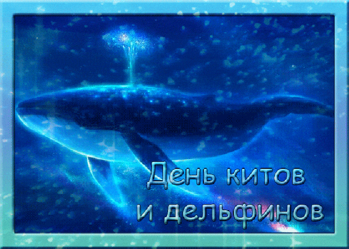 Анимация ко дню китов и дельфинов с морской фауной. Анимация ко дню китов и дельфинов с морской фауной.