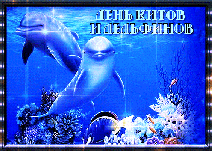 Забавная анимация с обитателями морских глубин и текстом "День китов и дельфинов". Забавная анимация с обитателями морских глубин и текстом "День китов и дельфинов".