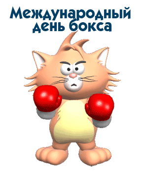 Смешной гиф стикер с котом в перчатках ко дню бокса на белом фоне.