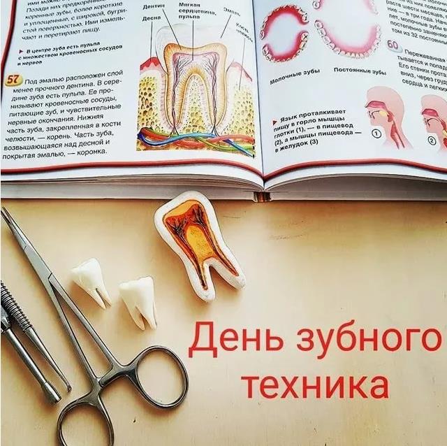 Анатомическая открытка в день зубного техника.