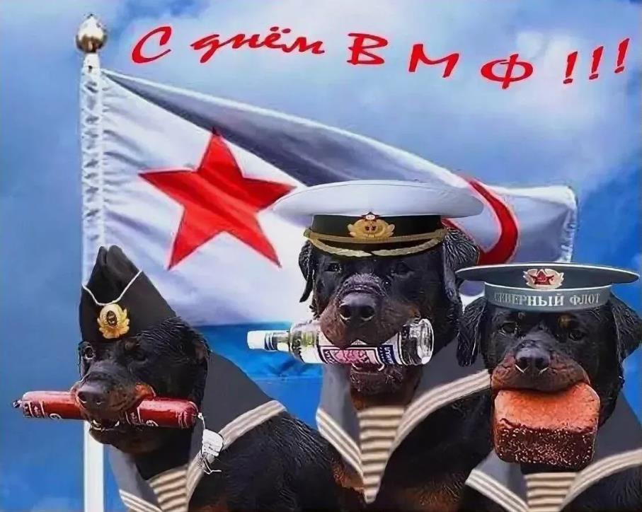 Смешные картинки с собаками с днём ВМФ РФ.