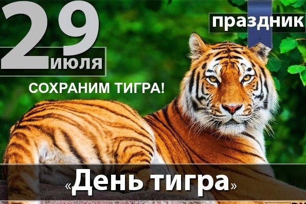 Красивые картинка 29 Июля праздник "День тигра!" Сохраним Тигра!