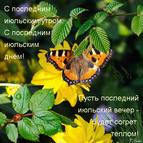 Мерцающая gif картинка с последним Июльским днём. Пусть последний Июльский вечер - будет согрет теплом.