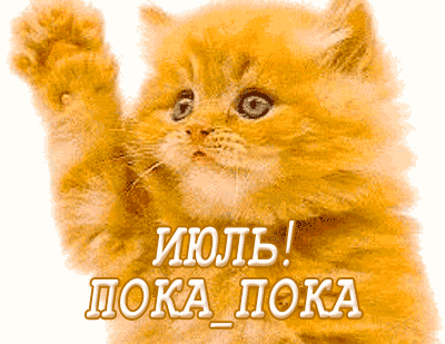 Смешной гиф стикер с котёнком на прозрачном фоне и надпись "Июль! Пока, пока!".